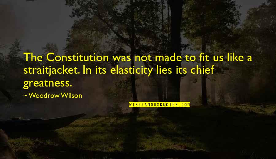 Us Constitution Quotes By Woodrow Wilson: The Constitution was not made to fit us