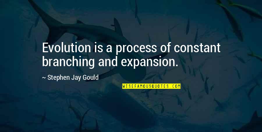 Us Expansion Quotes By Stephen Jay Gould: Evolution is a process of constant branching and