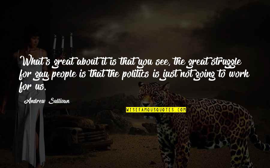 Us Politics Quotes By Andrew Sullivan: What's great about it is that you see,