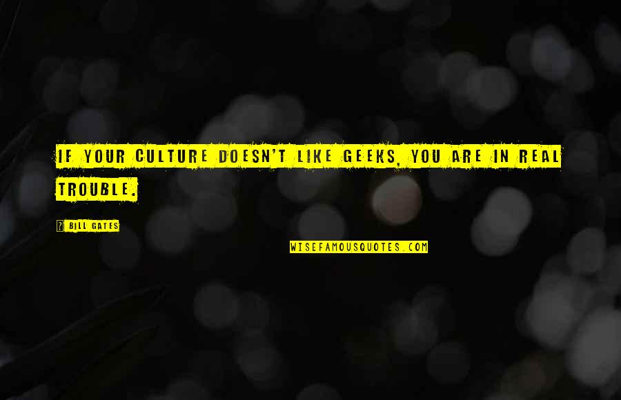 Us T Bill Quotes By Bill Gates: If your culture doesn't like geeks, you are