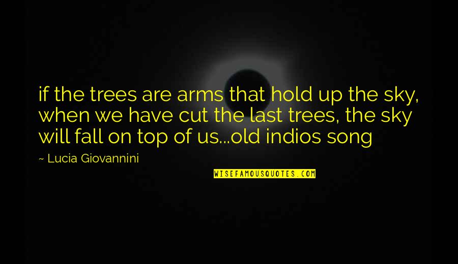 Us Top Quotes By Lucia Giovannini: if the trees are arms that hold up Us Top Quotes By Lucia Giovannini: if the trees are arms that hold up