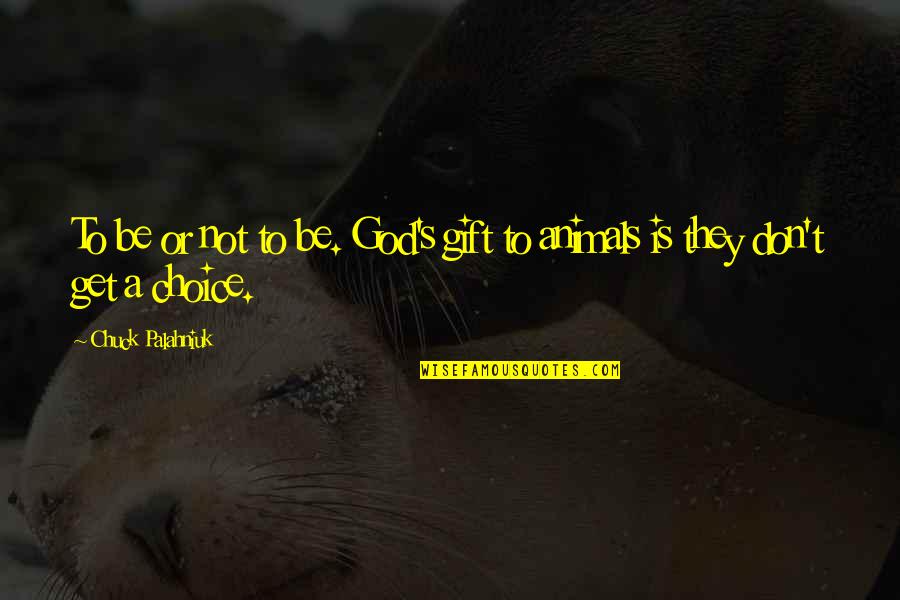 Usagi And Mamoru Quotes By Chuck Palahniuk: To be or not to be. God's gift Usagi And Mamoru Quotes By Chuck Palahniuk: To be or not to be. God's gift