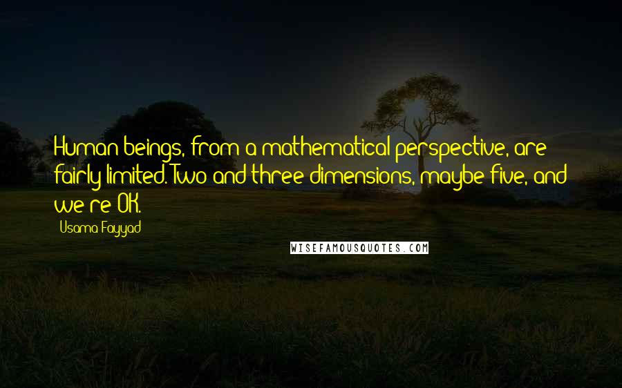 Usama Fayyad quotes: Human beings, from a mathematical perspective, are fairly limited. Two and three dimensions, maybe five, and we're OK.