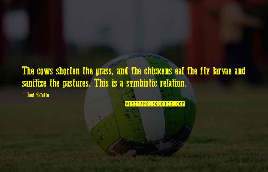 Usamah Mustafa Quotes By Joel Salatin: The cows shorten the grass, and the chickens Usamah Mustafa Quotes By Joel Salatin: The cows shorten the grass, and the chickens