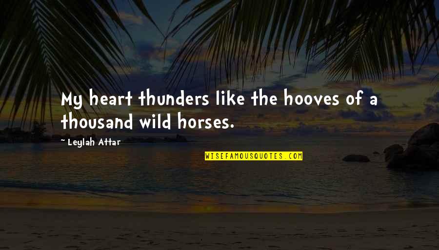 Usamljenost Slike Quotes By Leylah Attar: My heart thunders like the hooves of a Usamljenost Slike Quotes By Leylah Attar: My heart thunders like the hooves of a