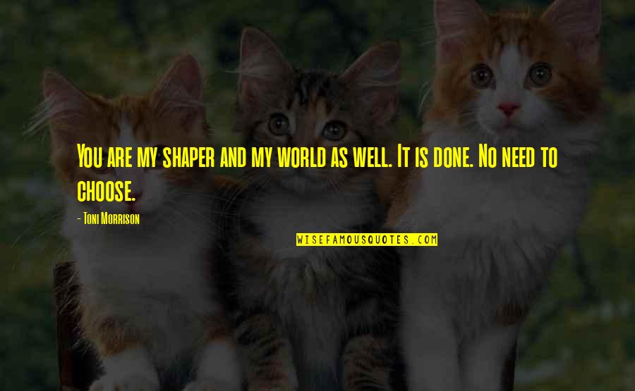 Usb To Hdmi Quotes By Toni Morrison: You are my shaper and my world as