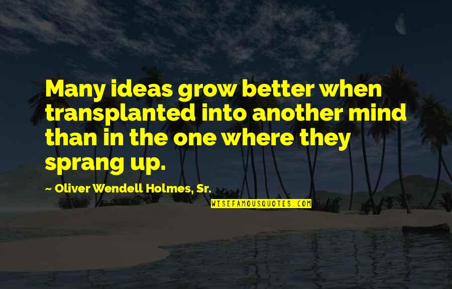 Uscan Lock Quotes By Oliver Wendell Holmes, Sr.: Many ideas grow better when transplanted into another Uscan Lock Quotes By Oliver Wendell Holmes, Sr.: Many ideas grow better when transplanted into another