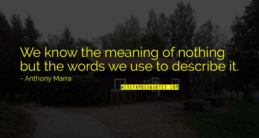 Use Of Language Quotes By Anthony Marra: We know the meaning of nothing but the