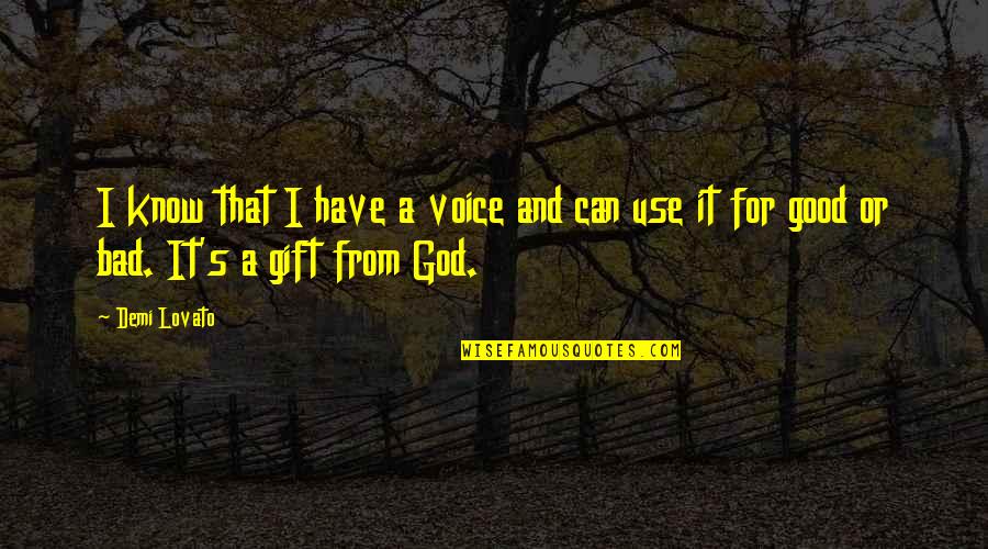Use Your Gift Quotes By Demi Lovato: I know that I have a voice and