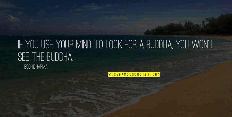 Use Your Mind Quotes By Bodhidharma: If you use your mind to look for