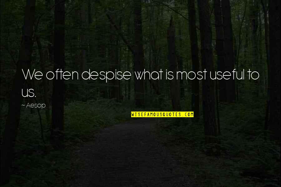 Useful Life Quotes By Aesop: We often despise what is most useful to