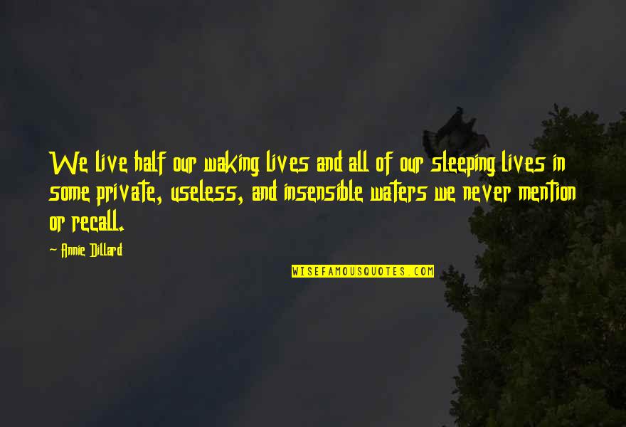 Useless Life Quotes By Annie Dillard: We live half our waking lives and all Useless Life Quotes By Annie Dillard: We live half our waking lives and all