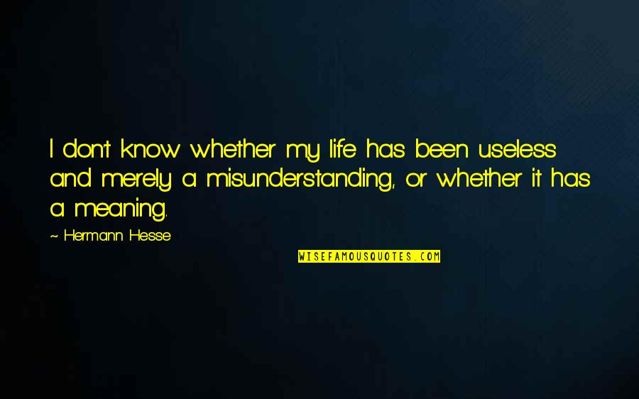 Useless Life Quotes By Hermann Hesse: I don't know whether my life has been