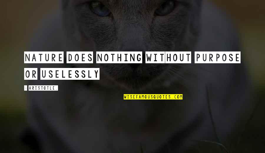 Uselessly Quotes By Aristotle.: Nature does nothing without purpose or uselessly