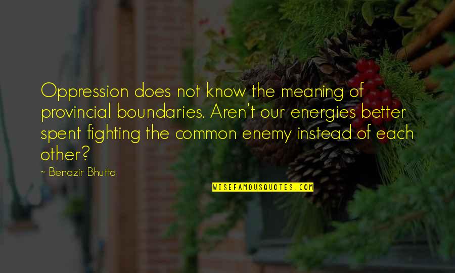Usiku Quotes By Benazir Bhutto: Oppression does not know the meaning of provincial Usiku Quotes By Benazir Bhutto: Oppression does not know the meaning of provincial