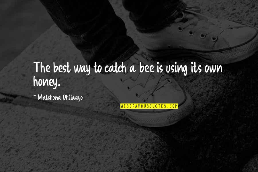 Using Quotes Quotes By Matshona Dhliwayo: The best way to catch a bee is