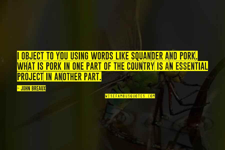 Using Words Quotes By John Breaux: I object to you using words like squander