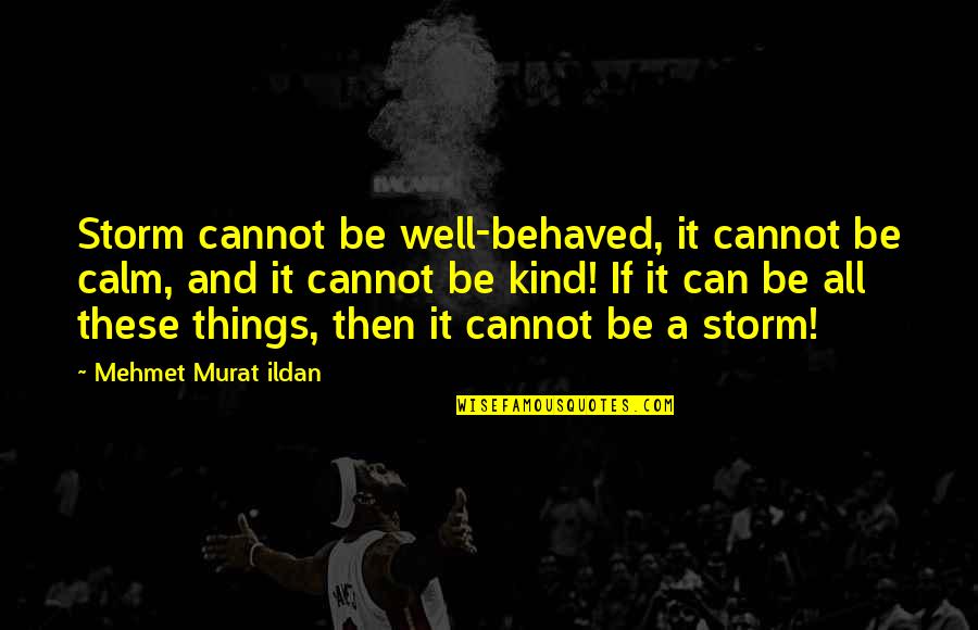 Usmail Quotes By Mehmet Murat Ildan: Storm cannot be well-behaved, it cannot be calm,