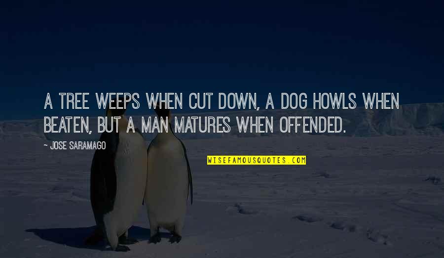 Usmanov Quotes By Jose Saramago: A tree weeps when cut down, a dog Usmanov Quotes By Jose Saramago: A tree weeps when cut down, a dog
