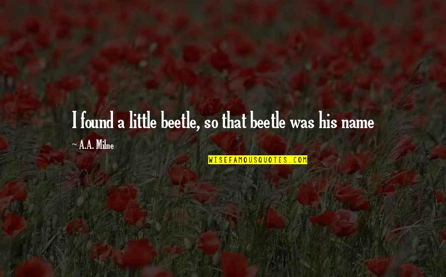 Usmc Di Quotes By A.A. Milne: I found a little beetle, so that beetle