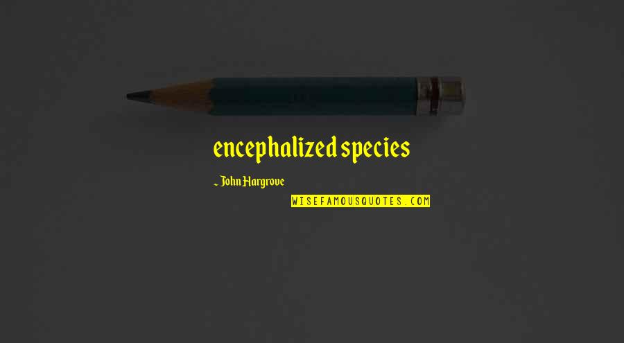 Usmeni Quotes By John Hargrove: encephalized species Usmeni Quotes By John Hargrove: encephalized species