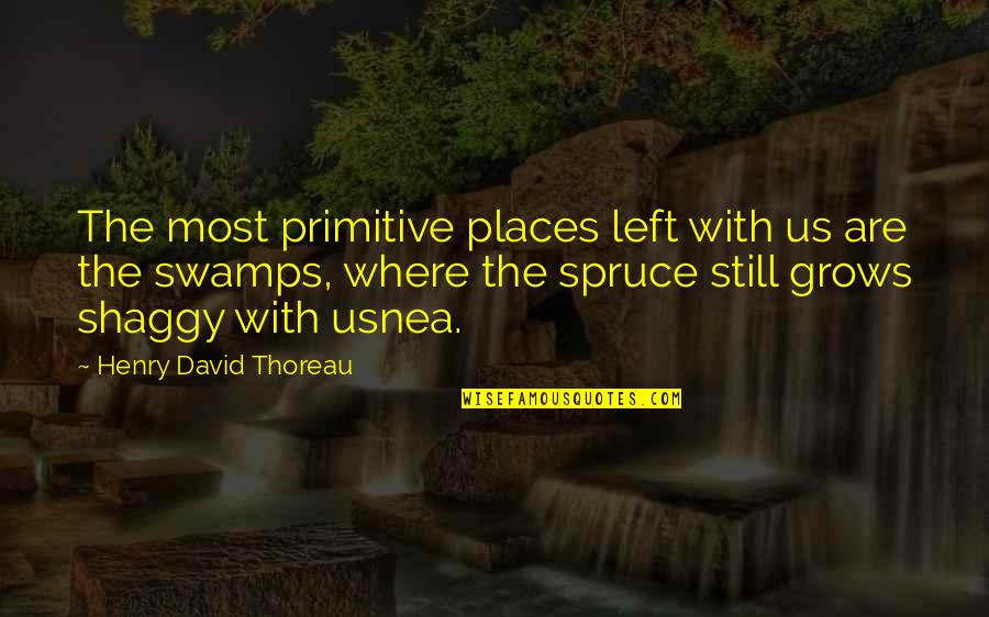 Usnea Quotes By Henry David Thoreau: The most primitive places left with us are