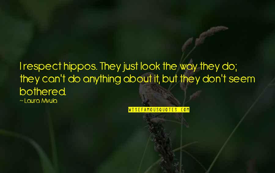 Uspensky Sobor Quotes By Laura Mvula: I respect hippos. They just look the way Uspensky Sobor Quotes By Laura Mvula: I respect hippos. They just look the way