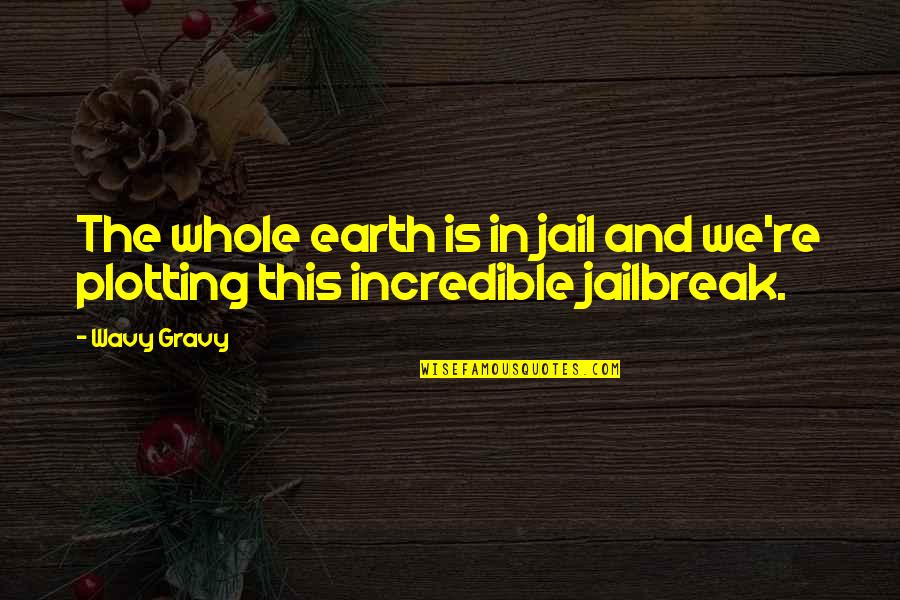 Ussketch Quotes By Wavy Gravy: The whole earth is in jail and we're