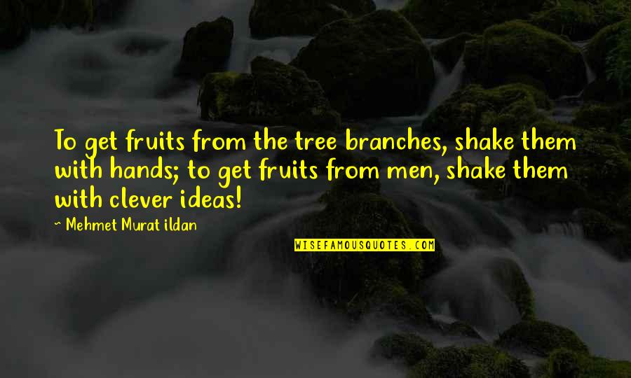 Ustadzah Quotes By Mehmet Murat Ildan: To get fruits from the tree branches, shake