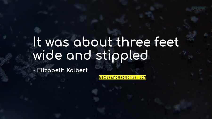 Ustyugov Alexander Quotes By Elizabeth Kolbert: It was about three feet wide and stippled
