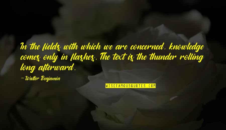 Utah Phillips Quotes By Walter Benjamin: In the fields with which we are concerned, Utah Phillips Quotes By Walter Benjamin: In the fields with which we are concerned,