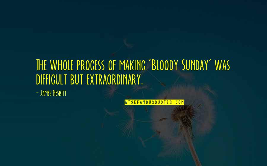 Utakmica Bih Quotes By James Nesbitt: The whole process of making 'Bloody Sunday' was