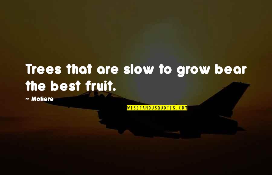 Utilizar Los Peque Os Quotes By Moliere: Trees that are slow to grow bear the