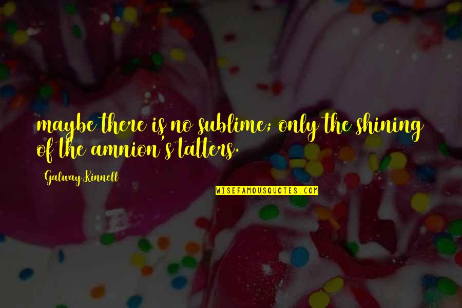 Utne Quotes By Galway Kinnell: maybe there is no sublime; only the shining