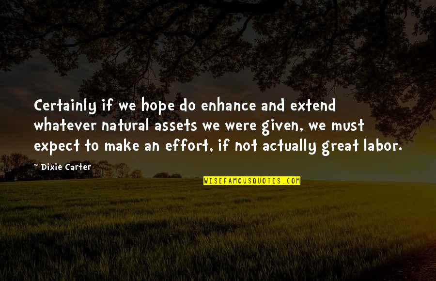 Utopar Quotes By Dixie Carter: Certainly if we hope do enhance and extend Utopar Quotes By Dixie Carter: Certainly if we hope do enhance and extend