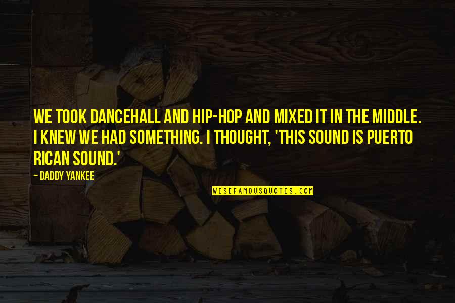 Uttering Quotes By Daddy Yankee: We took dancehall and hip-hop and mixed it