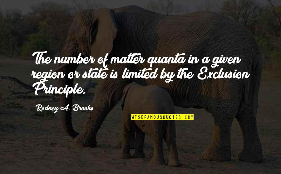 Utuado Quotes By Rodney A. Brooks: The number of matter quanta in a given