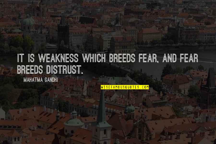 Uutenv Quotes By Mahatma Gandhi: It is weakness which breeds fear, and fear Uutenv Quotes By Mahatma Gandhi: It is weakness which breeds fear, and fear