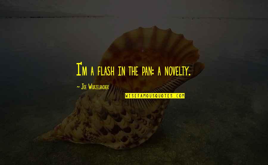 Uwierzytelniony Quotes By Joe Wurzelbacher: I'm a flash in the pan: a novelty.