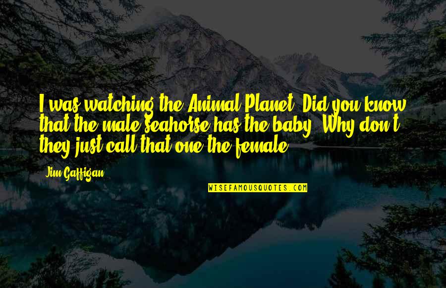 Uwimana Olabisi Quotes By Jim Gaffigan: I was watching the Animal Planet. Did you