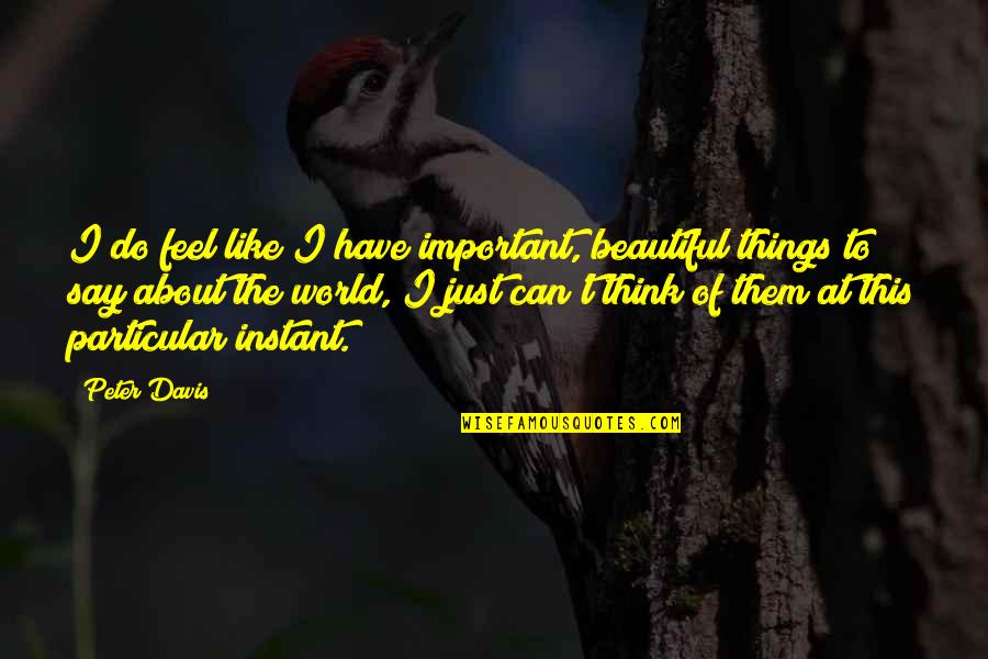 Uzanan Kizlar Quotes By Peter Davis: I do feel like I have important, beautiful