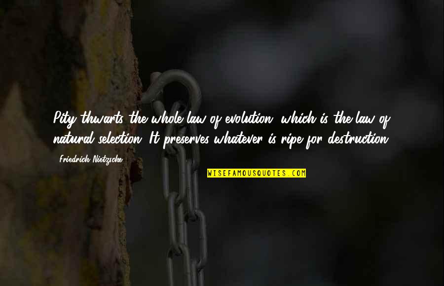 Uzmetums Quotes By Friedrich Nietzsche: Pity thwarts the whole law of evolution, which Uzmetums Quotes By Friedrich Nietzsche: Pity thwarts the whole law of evolution, which
