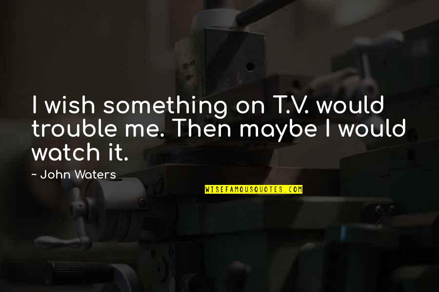 V.i.n.cent Quotes By John Waters: I wish something on T.V. would trouble me.