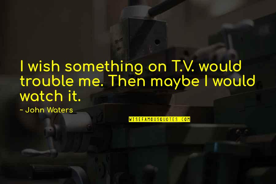 V.i.p Quotes By John Waters: I wish something on T.V. would trouble me.