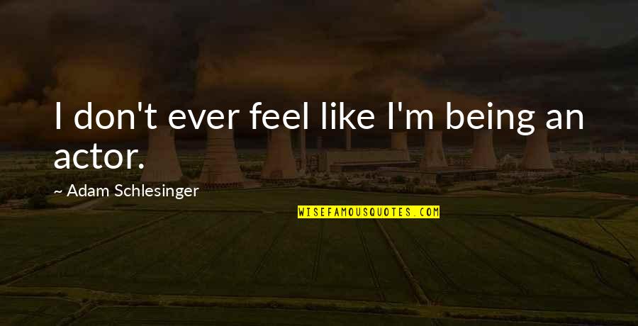 V Nligen Quotes By Adam Schlesinger: I don't ever feel like I'm being an