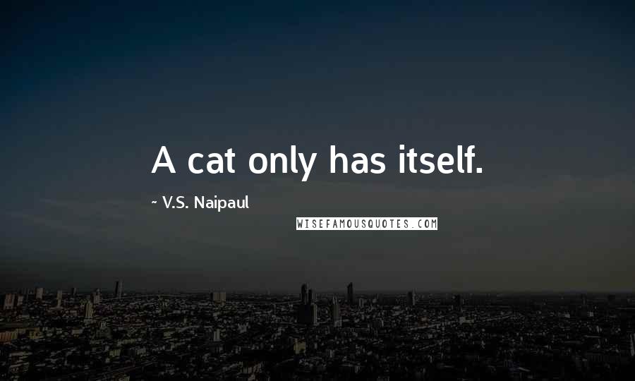 V.S. Naipaul quotes: A cat only has itself.