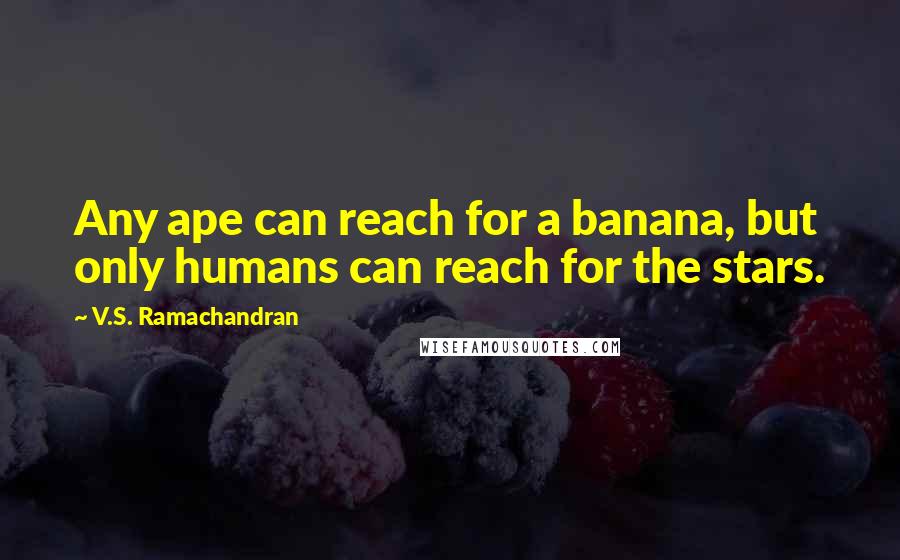 V.S. Ramachandran quotes: Any ape can reach for a banana, but only humans can reach for the stars. V.S. Ramachandran quotes: Any ape can reach for a banana, but only humans can reach for the stars.