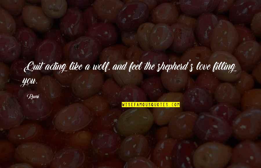 V T G Shepherd Quotes By Rumi: Quit acting like a wolf, and feel the