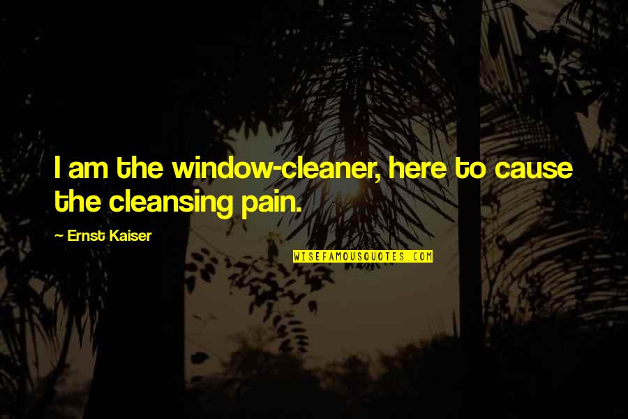 Vaalbara Designs Quotes By Ernst Kaiser: I am the window-cleaner, here to cause the