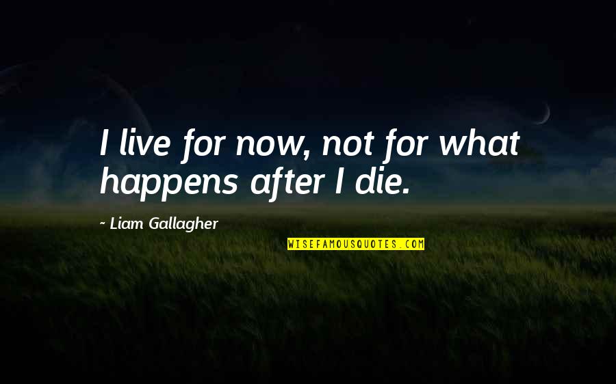 Vabariigi Quotes By Liam Gallagher: I live for now, not for what happens Vabariigi Quotes By Liam Gallagher: I live for now, not for what happens